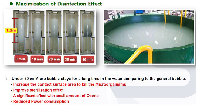 bwms disinfection effect