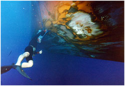 diving services1